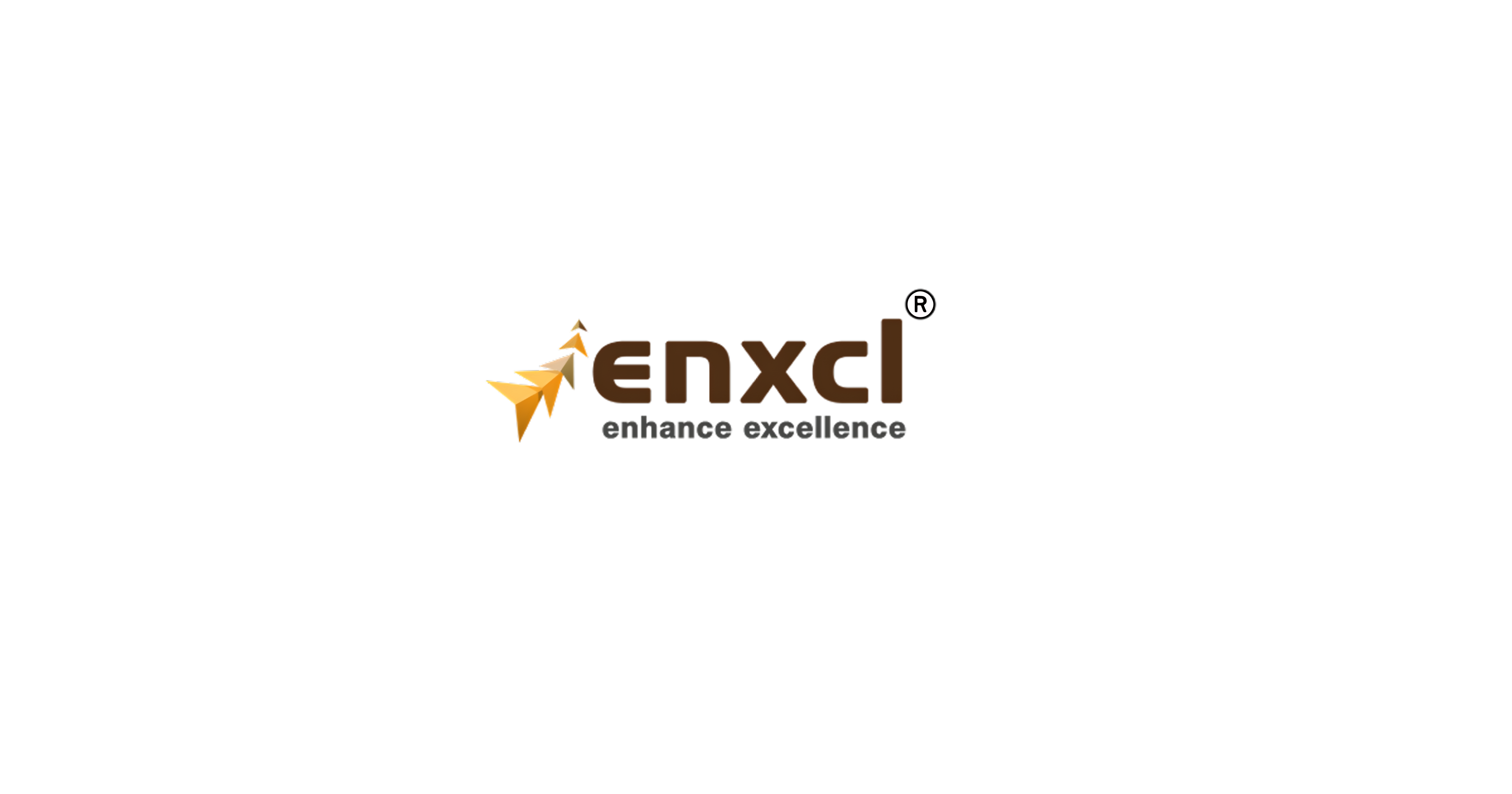 Enxcl Business Solutions