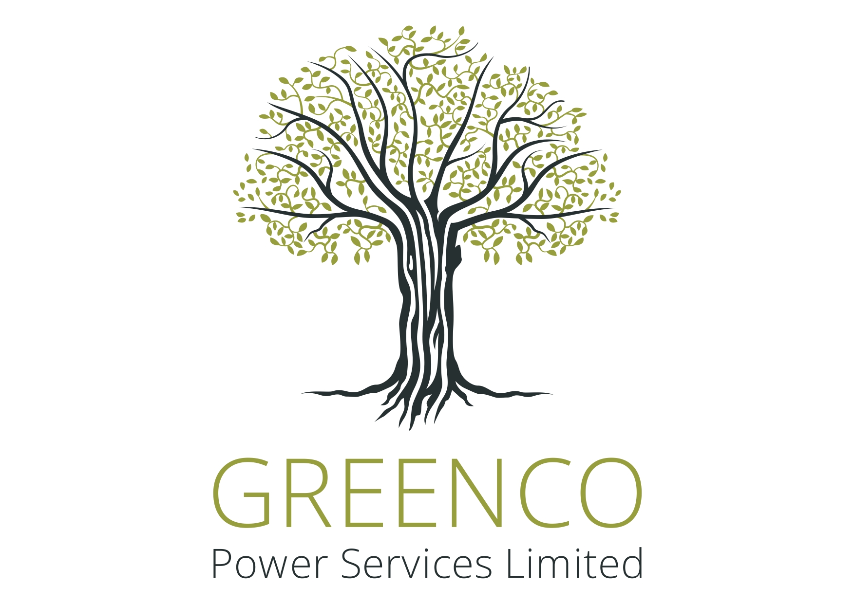 GreenCo Power Services (Pty) Limited (GreenCo) 